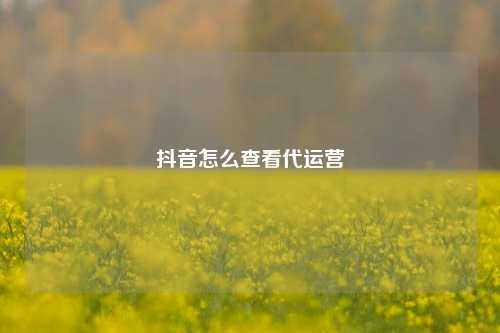 抖音怎么查看代运营