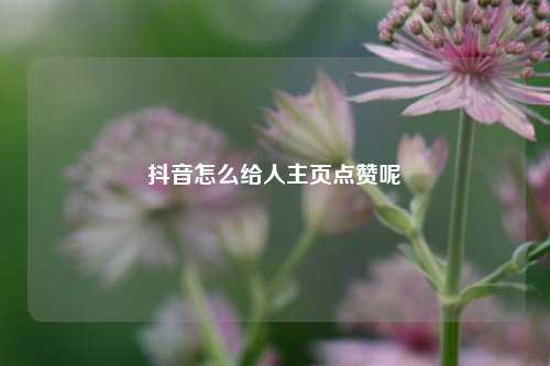 抖音怎么给人主页点赞呢