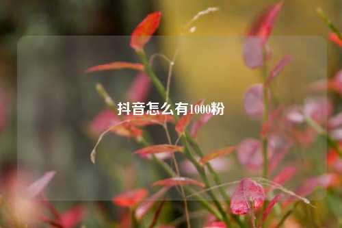 抖音怎么有1000粉