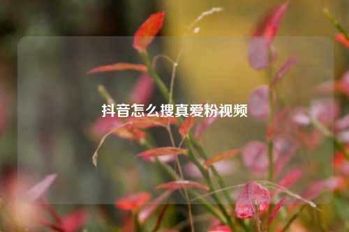抖音怎么搜真爱粉视频
