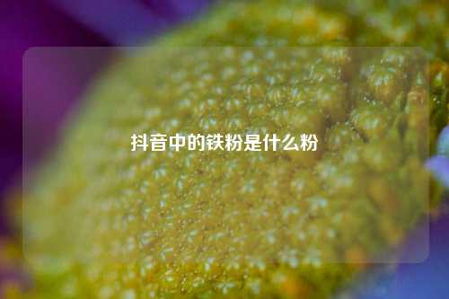 抖音中的铁粉是什么粉