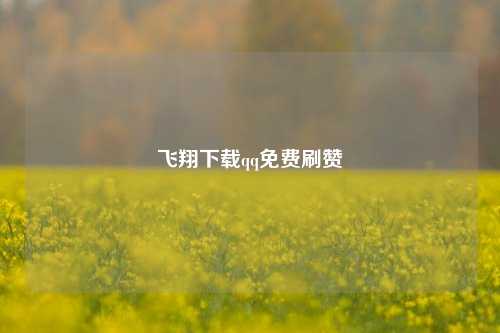 飞翔下载qq免费刷赞