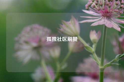 孤独社区刷赞