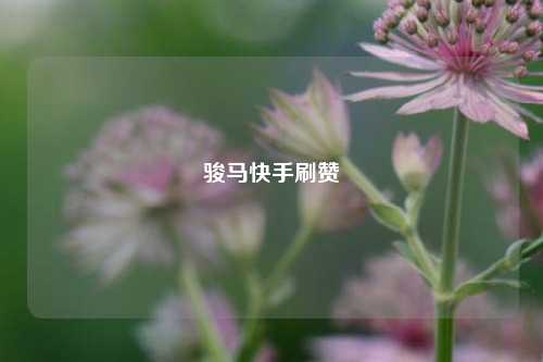 骏马快手刷赞