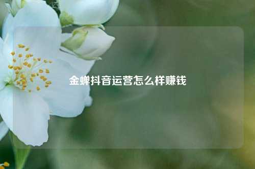 金蝉抖音运营怎么样赚钱