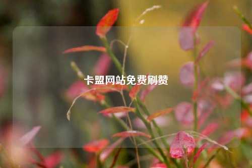 卡盟网站免费刷赞