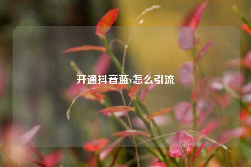 开通抖音蓝v怎么引流