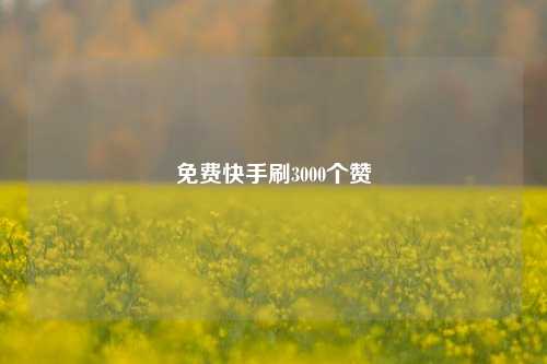 免费快手刷3000个赞