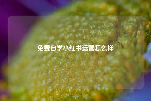 免费自学小红书运营怎么样