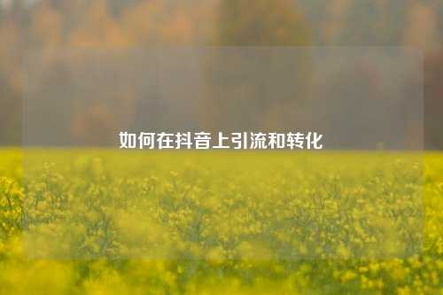 如何在抖音上引流和转化