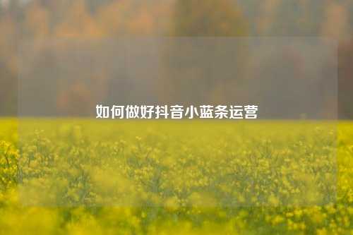 如何做好抖音小蓝条运营
