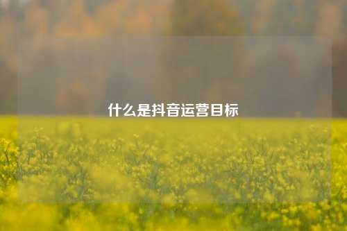 什么是抖音运营目标