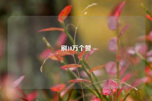 刷10万个赞