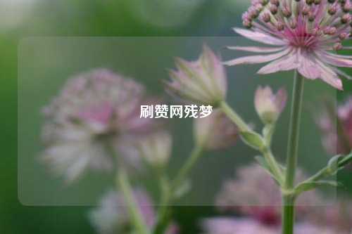 刷赞网残梦