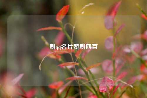 刷qq名片赞刷四百