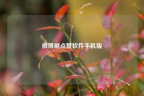 微博刷点赞软件手机版